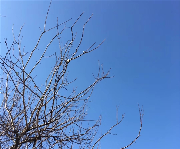 缇??藉???板???浜虹???村??辩?圭??姣?锛?涓????????跺????