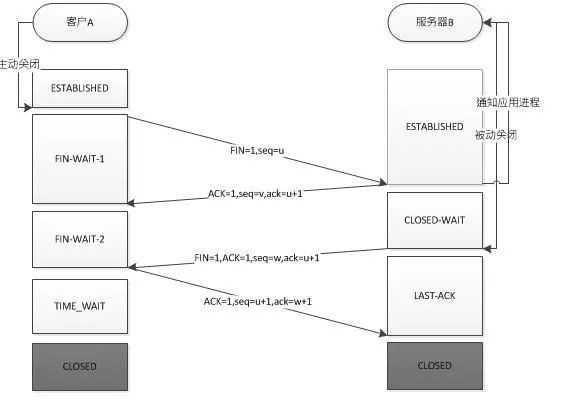 什么是TCP/IP协议？插图(7)