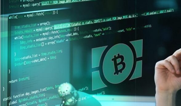 bch比特币现金网址_bch比特币现金凉了吗