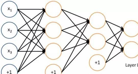 深度神經網絡(dnn)=人類大腦皮層結構?