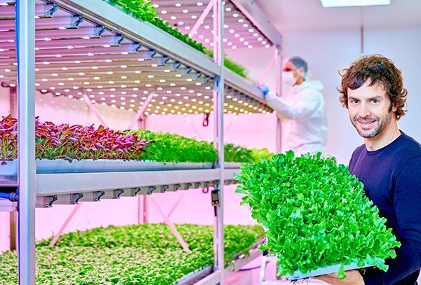 昕诺飞将为planet farms5座垂直农场安装植物led生长灯